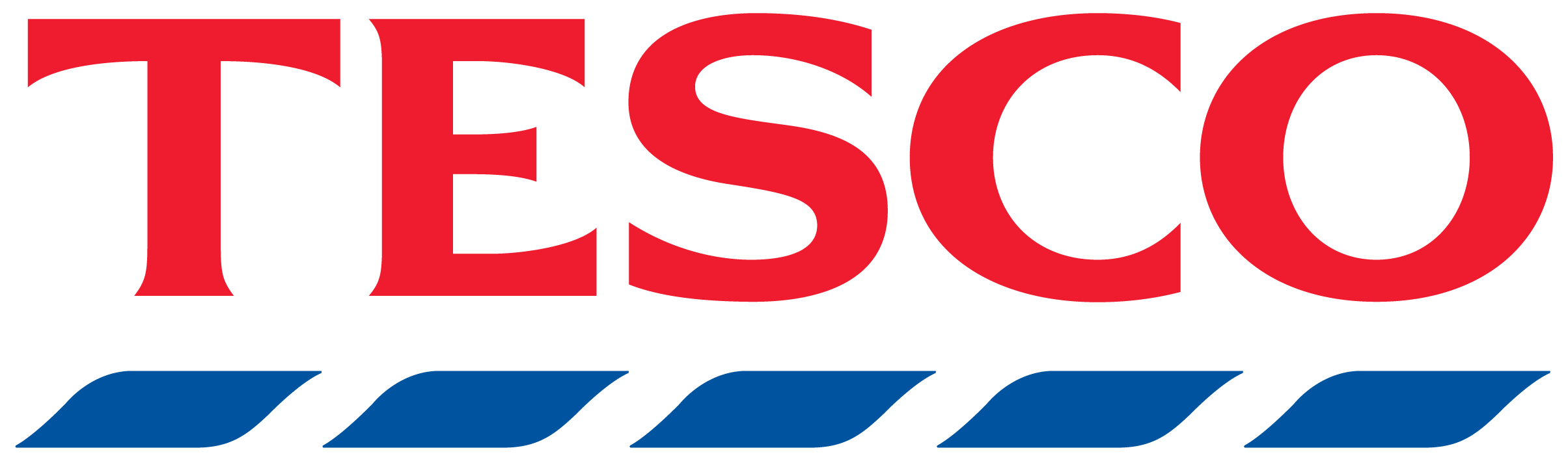 TES LOGO REDBLUE RGB