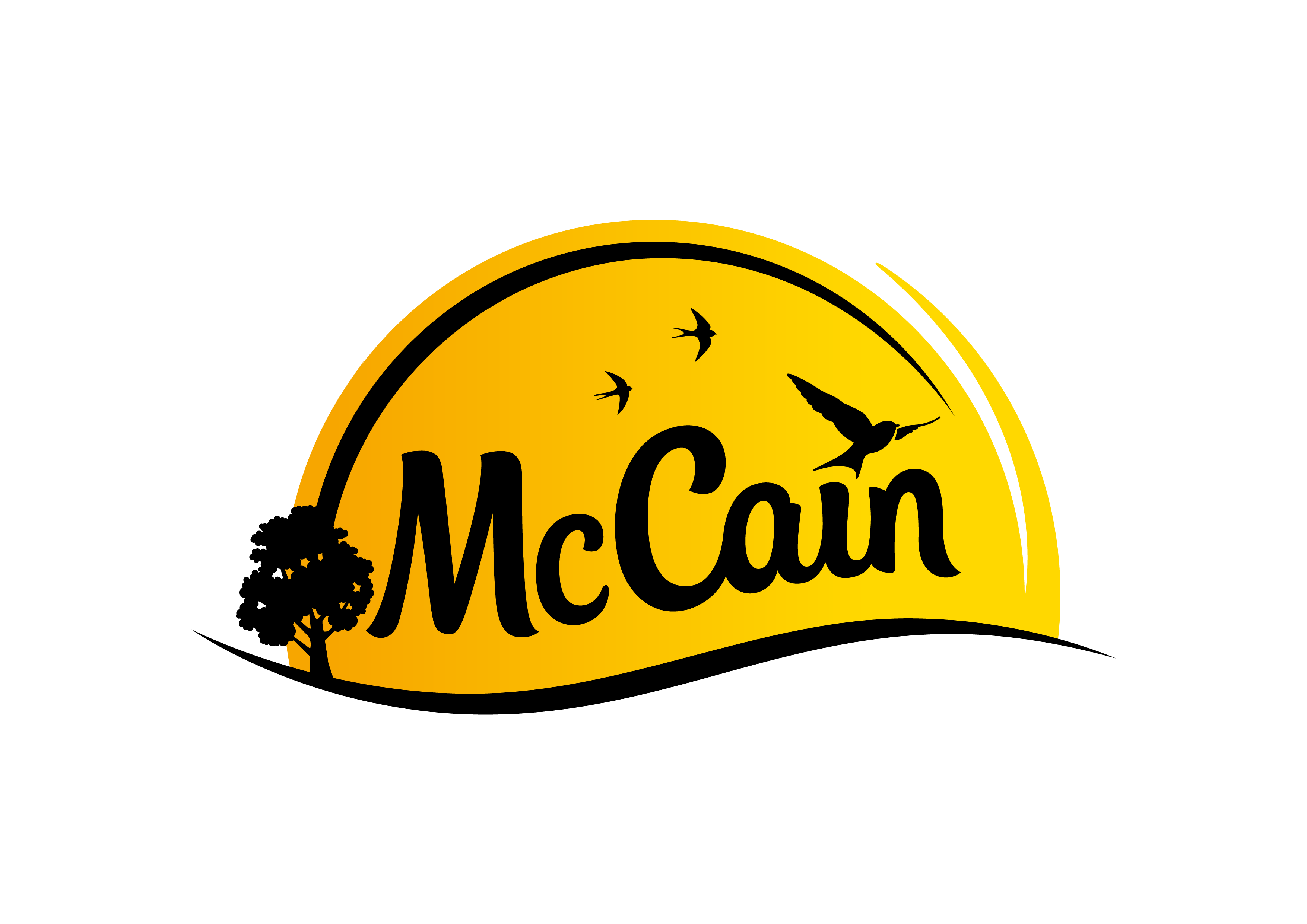 Mccain Master Logo